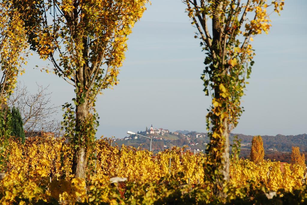 Ferienwohnung Winzerhof Familie Klöckl Klöch Exterior foto
