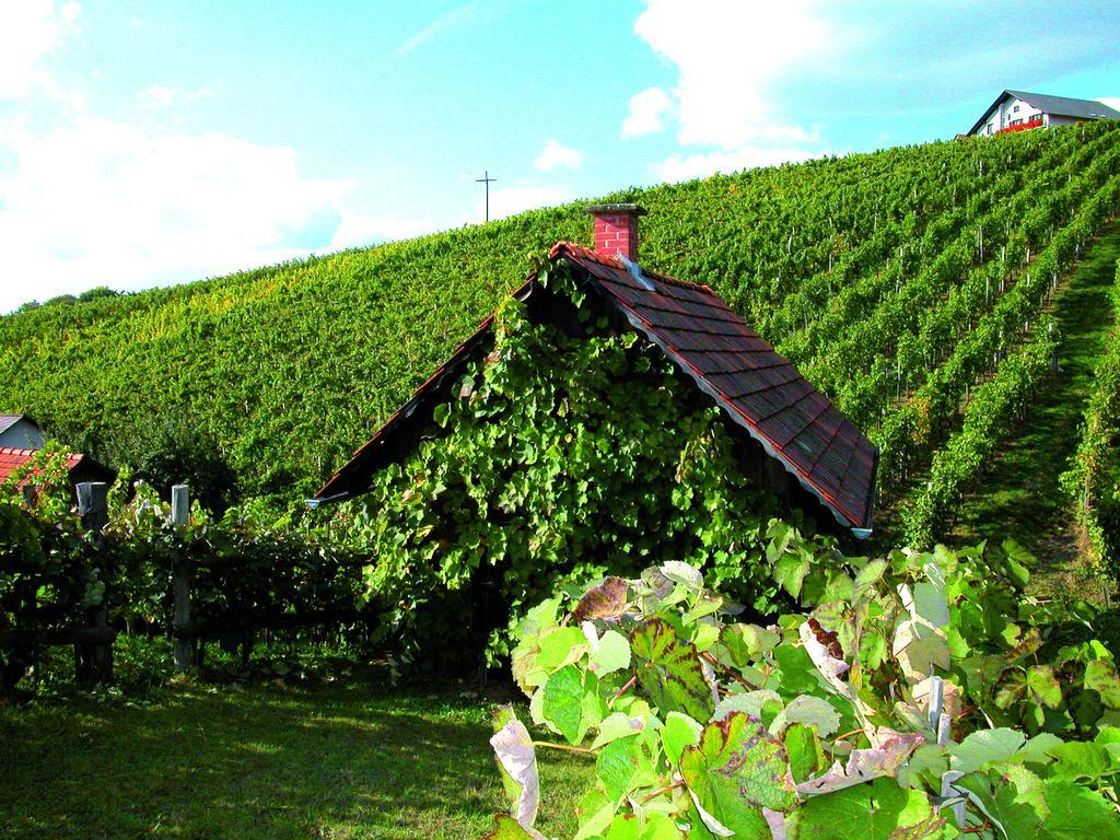 Ferienwohnung Winzerhof Familie Klöckl Klöch Exterior foto