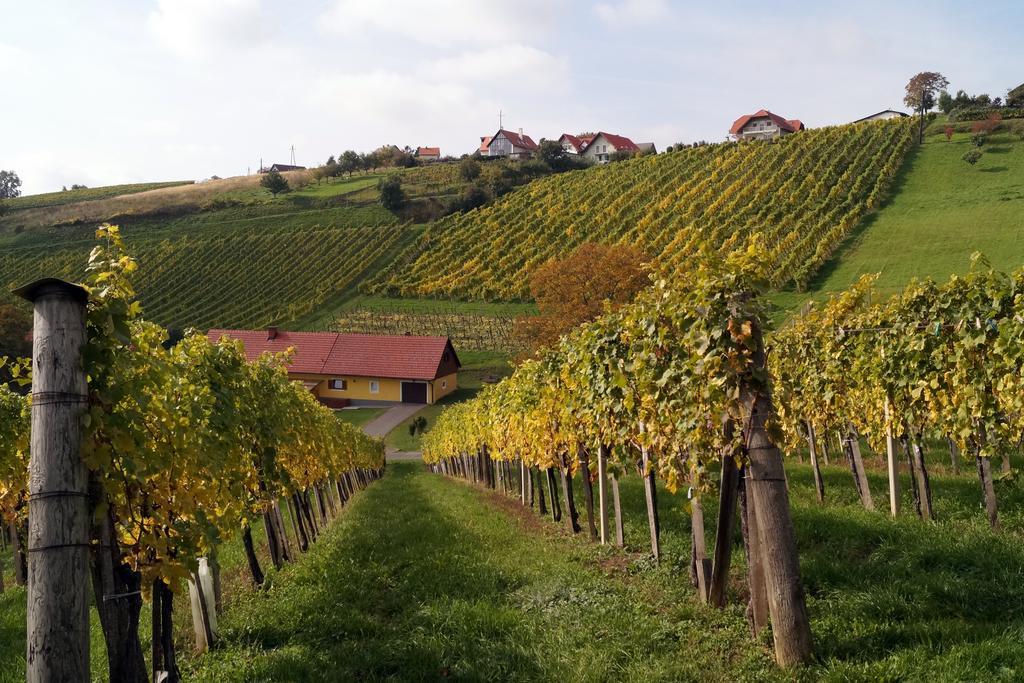 Ferienwohnung Winzerhof Familie Klöckl Klöch Exterior foto